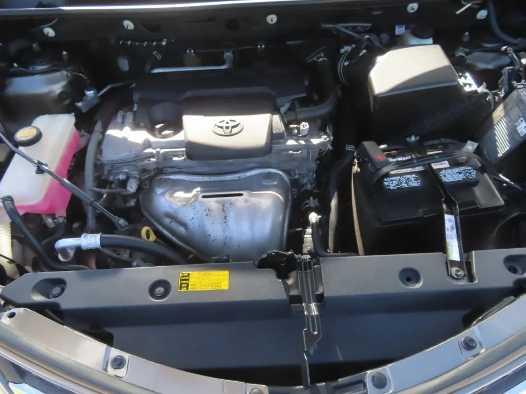 IMG 1432